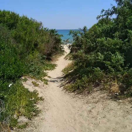 Short Term -low Cost Pensionat *