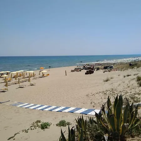 Short Term -low Cost